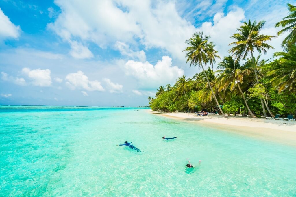 Pouch Travel News