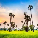 Bangladesh News
